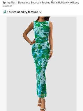 Floral Mesh Sleeveless Bodycon Maxi Dress in Blue & Green